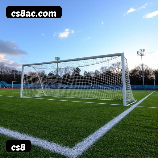 6 vantagens exclusivas do programa VIP da cs8